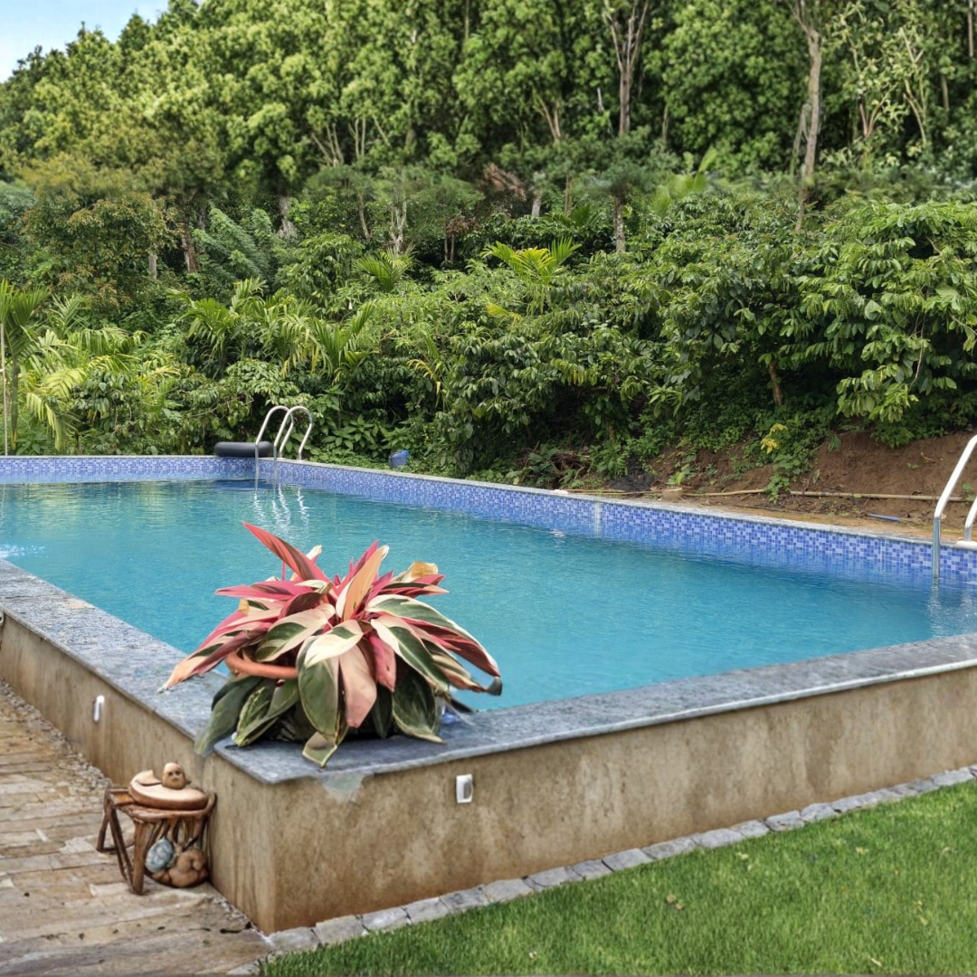 Swimming pool at Coorg Coffee Bunch